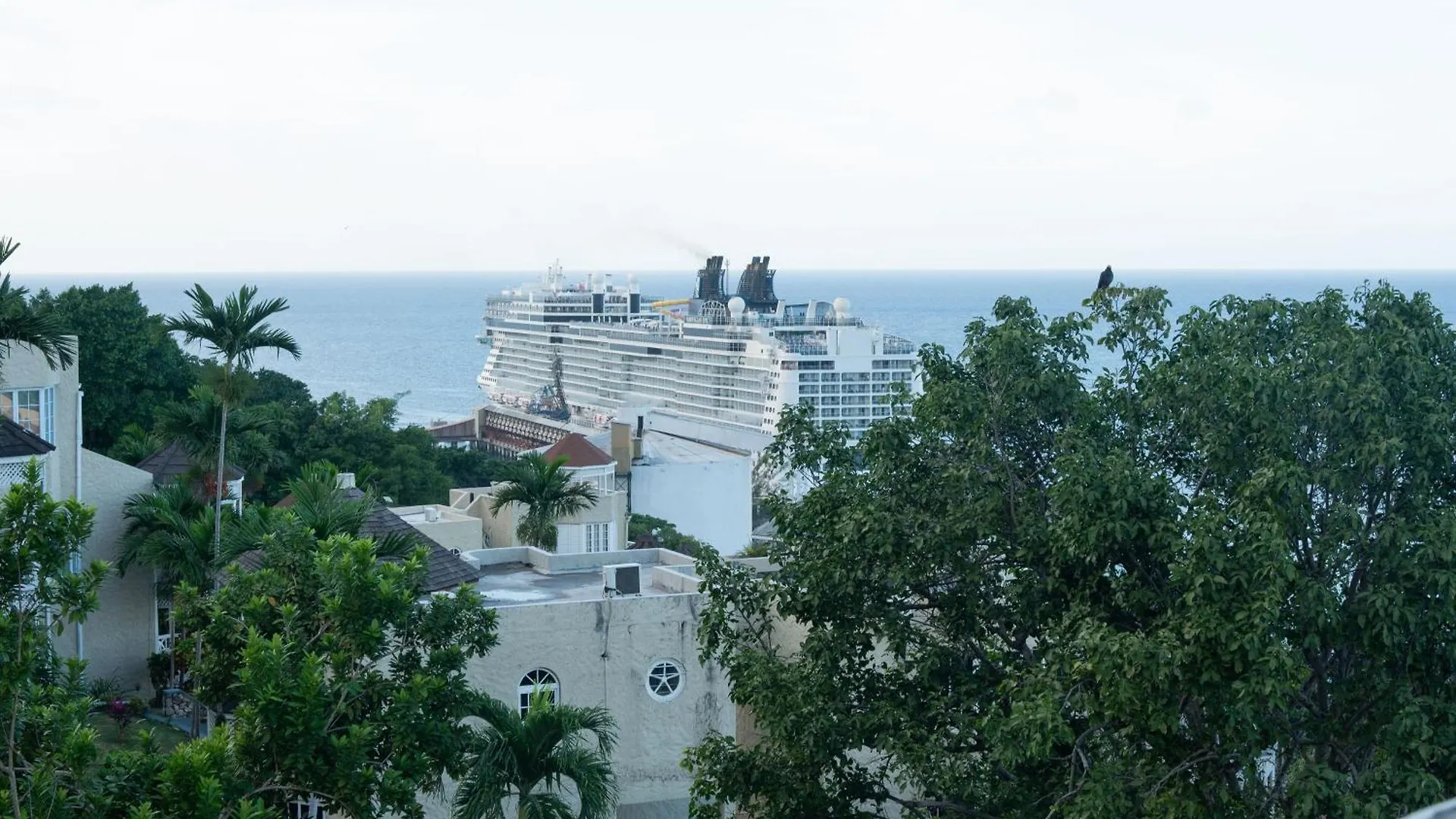 Pampered In Paradise Columbus Heights 2 Bedroom Penthouse Condo Near Ian Fleming Airport Ocho Rios